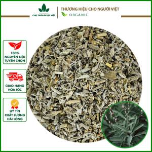 Lá xô thơm trắng 500g sage gia vị nấu ăn khử mùi thanh tẩy thanh lọc không khí xông nhà