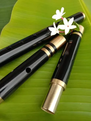 ขลุ่ยคีย์ C สีดำ PVC ถอด 2ท่อน เลี่ยมทองเหลืองหัว-ท้าย ท่อ ขนาด 22 มิล(ฆ่าเชื่อด้วยแอลกอฮอ ทุกเลาก่อนส่ง)