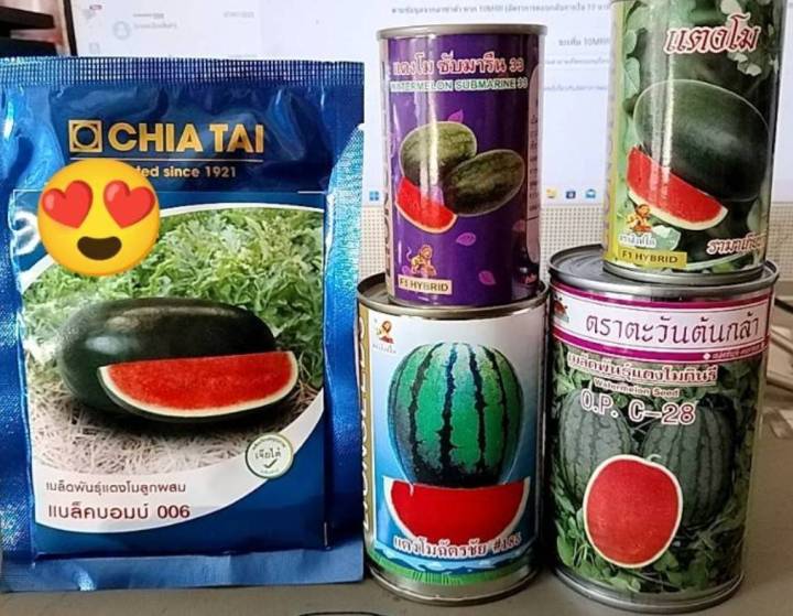 เมล็ดพันธุ์แตงโมรวมสายพันธุ์ กินรี ฉัตรชัย แบล็คบอมบ์