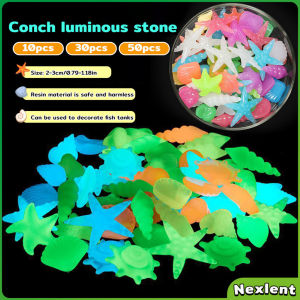 Nexlent Colorful Luminous Stones Starfish Conch Shaped For Aquarium Walkways Garden Decorative 2-3cm