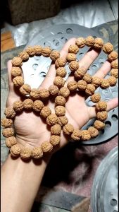 Gelang jenitri Halus 16mm