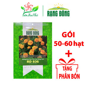 Hạt Giống Hoa Vạn Thọ Rạng Đông + Tặng Phân Bón
