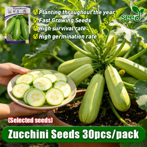 [Selected Seeds 30pcs] 100% Organic Zucchini Seeds for Planting Vegetables Plants Bonsai Zucchini Seeds High Yield Summer Squash Seeds F1 Zucchini Vegetable Seeds for Gardening Bottle Gourd Seeds Potted Zucchini Plant Veggie Seeds Fast Growing Seeds