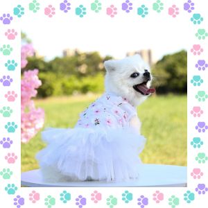【Trending】 Whisker Pet Dog Clothes Puppy Lace Gauze Dress Clothes For Small Dog Stripe Sling Princess Skirt Fashion Birthday Party Wedding Cute Cat Tulle Dress
