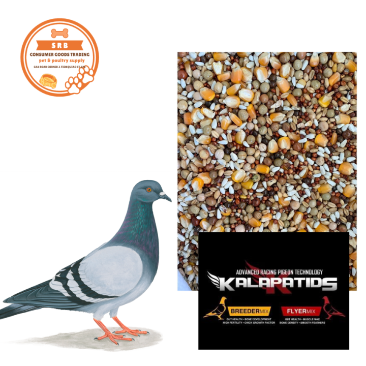 Kalapatids Advance Racing Pigeon Technology ( Breeder Mix ) 1kg ...