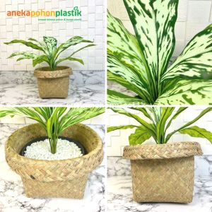 Tanaman Hias Daun Aglonema Romeo X12 Semi Latex Artificial Pot Dasar Cover Purun Tanaman Imitasi Dekorasi Pajangan Ruangan Rumah