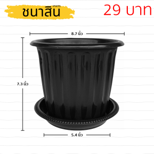 กระถาง กระถางต้นไม้ มินิมอล โรมัน+จาน ขนาด 8 นิ้ว สีดำ สีขาว สีเทา สีอิฐ Bundle 5 ใบ ชิ้น อัน