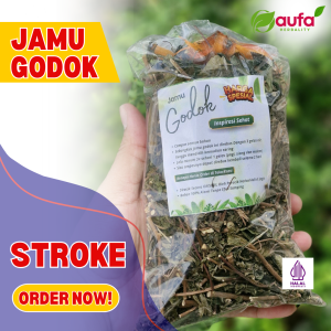 Paket Jamu Tradisional Multivitamin Alami - Efektif Mengatasi Stroke Resep Asli Aupa Herbality