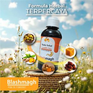 Madu Sehat lambung Blashmagh 280gr