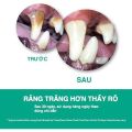 [Chính hãng] TROPICLEAN (59ml) Gel Vệ Sinh Làm Sạch Răng Miệng Cho Chó Mèo - Làm Sạch Mảng Bám Cao Răng Hiệu Quả. 