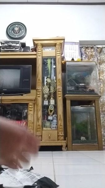 Buyer review video 2