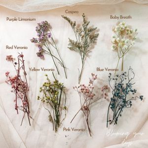 bloomingyourdays MIXED Dried  Flowers (27-32 Tangkai) Bunga Kering Baby Breath Caspea Veronia Limonium