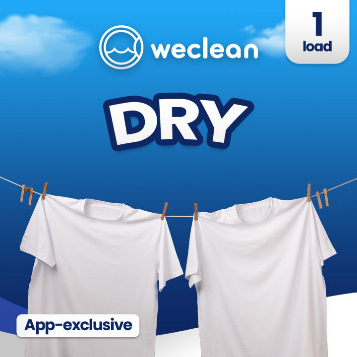 eVoucher One Dry Load for Regular Clothes Lazada PH