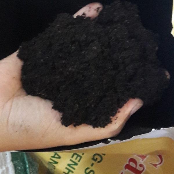 8 อันดับวัสดุเพาะปลูกและเมล็ดพันธุ์ยอดนิยม อัปเดตปี 2025