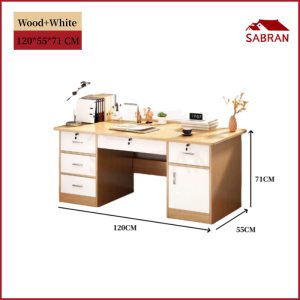SABRAN Modern Minimalist Computer Desk Office Desk With Drawer Cabinet Study Desk