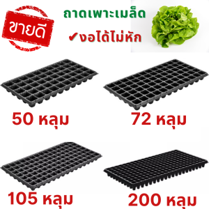 เก็บปลายทาง ถาดเพาะกล้า ถ้าเพาะต้นกล้า ถาดเพาะเมล็ด ถาดเพาะปลูก ถาดปลูกผัก ถาดปลูกต้นไม้ ถาดต้นกล้า ถาดต้นไม้ ถาดหลุมปลูกผัก