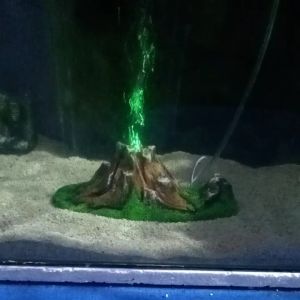 DEKORASI AKUARIUM GUNUNG MERAPI / AQUASCAPE SUDA DI LENGKAPI L4MPU L3D