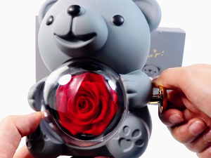 Elegant Gift Box Display Box with Preserved Rose Elegant Home Decors for Her on Special Days like Anniversaries