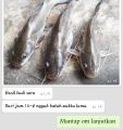 Essen Ikan Baung Paling Bau Amis Isi 30ml. 
