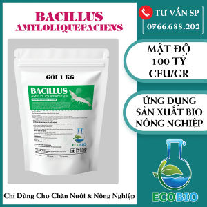 Gói 1 Kg Bacillus Amyloliquefaciens Mật Độ 100 Tỷ CFU/gr Dùng Cho Chăn Nuôi Và Nông Nghiệp