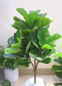 Cây bàng Singapore giả cao cấp cao 100cm (3nhánh) Không kèm chậu Giá Sỉ-Cây giả-TRUMSICAYHOAGIA