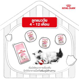 Royal Canin อาหารแมว Kitten ชนิดเม็ด ลูกแมวอายุ 4-12เดือน (MNIKS)