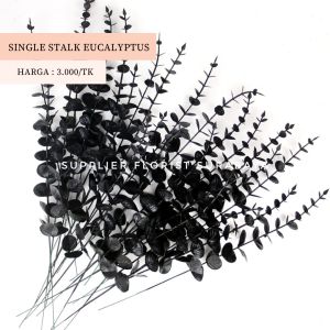 [1 TANGKAI] SINGLE STALK EUCALYPTUS DAUN ARTIFICIAL DAUN PALSU EUKALIPTUS SILVER DOLLAR DAUN DOLAR DAUN KAYU PUTIH DAUN PLASTIK DEKORASI HIASAN RUANG TAMU