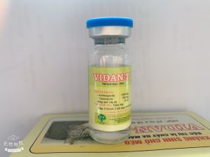 Năm Thái tai xanh sưng phù đầu phân trắn viêm phổi tiêu chảy viêm hô hấp Vidant 10ml