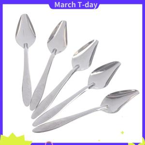 March 5 chiếc thìa cho chim ăn mũi nhọn bằng thép không gỉ cho vẹt ăn sữa