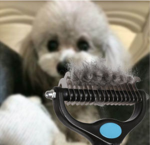 Stainless Steel Pet Grooming Tool: A Comprehensive Guide