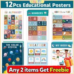 12Pcs premium lamination educational posters for school decoration wallpaper waterproof office equipment Filpcharts
