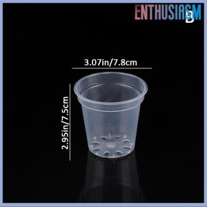 【Enthusiasm】🌟🌟【Hot Sale】🎈 กระถางปลูกต้นไม้ทรงกลมใสภาชนะปลูกต้นไม้กระถางเพาะกล้วยไม้กระถางทรงกลม