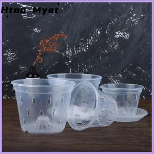 tantuoye 1 cái chậu hoa chậu trồng cây trong vườn chậu thoát nước có lỗ trong suốt giỏ hoa phong lan nhựa thoáng khí phụ kiện chậu hoa