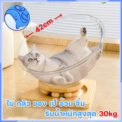 หลุมอวกาศ ที่นอนแมว ที่ลับเล็บแมว คอนโดแมว ลับเล็บแมว บ้านแมว โดมอะคริลิคแมว 4in1 คอนโดแมว