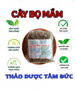 100g cây bọ mắm sấy khô