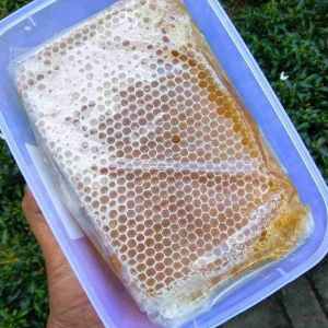 Madu sarang 250gr - Madu asli murni (ORIGINAL) epis melifera netto 250 gram