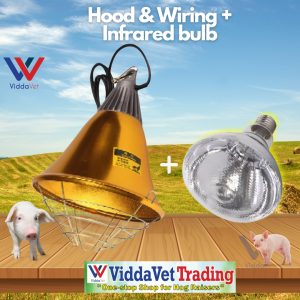 Brooder lamp/infrared bulb Pets Piggery Poultry brooder heater lamp brooder heater lamp with hood chicken brooder heat lamp brooder heater brooder pen for chicks brooder pen brooder pen Viddavet brooding chick paper brooding pen brooding lamp for chicks