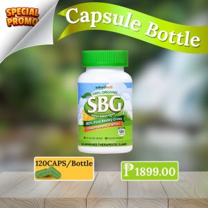 SBG Capsules 500mg Salveo Barley Grass Cap 120caps/Bottle