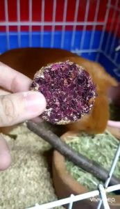 คุกกี้หญ้าเกรดพรีเมี่ยม คุกกี้หญ้าทิโมธี+กุหลาบ สําหรับกระต่าย แกสบี้ ชินชิล่า แพรี่ด็อก (Hobbits)