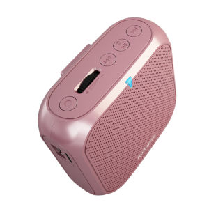 【COD&Local】Portable Voice Amplifier Bluetooth Speaker with Microphone Headset for Teachers Elderly Tour Guides