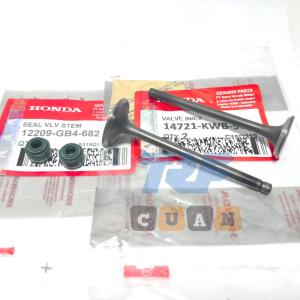 PAYUNG KLEP SET VALVE SET EX IN BLADE BEAT FI REVO ABSOLUTE ABS Seal Klep Sil 2 per blade 110 lama