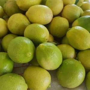 1 kg Buah jeruk lemon segar buah lemon california