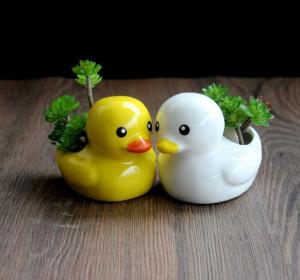 [Local Ready Stock] Cute Epic and Exciting Gardening Pot with Interesting Image like Duck /Cat / Elephant & Exotic Toilet Ideal for gifts and Souvenir