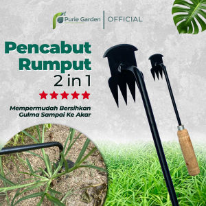 Alat Pencabut Rumput Liar Gulma Cangkul Kebun Petani Update