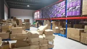 ขจัดความชื้นและความหมองคล้ำ Evodia Foot Patch Herbal Type Yongquan Foot Patch Upper Heat Lower Cold Induces Fire Back to the Origin Foot Patch Yongquan Point Sleep Patch