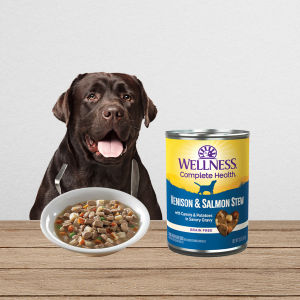 Wellness Complete Health - Stew Chunky Wet Canned Dog Food 12.5oz (354g) | 6 Tasty Flavours