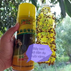 Keo xịt bẫy ruồi vàng côn trùng dạng chai xịt 450 ml Bảo vệ cây trồng