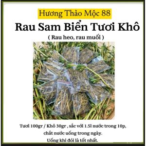 Combo 2kg Rau Sam Biển Tươi – Thảo Dược Tẩy Sán Chó Sán Mèo Giải Độc Gan Thanh Lọc Cơ Thể