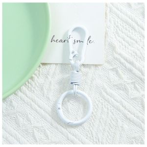 Spring Carabiner Keychain Metal Coil Key Ring Color Clip Bag Luggage DIY Accessory