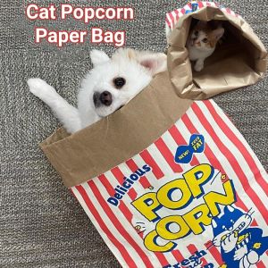 Cute Pets Cats Dogs Kraft Paper Popcorn Paper Bag Ins New Style Korean Creative Educational Cat Teasing Toy